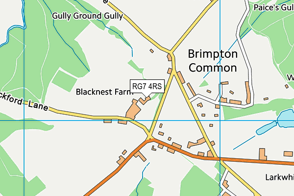 RG7 4RS map - OS VectorMap District (Ordnance Survey) RG7 4RS map - OS VectorMap District (Ordnance Survey)