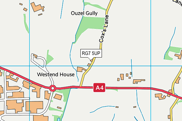 RG7 5UP map - OS VectorMap District (Ordnance Survey) RG7 5UP map - OS VectorMap District (Ordnance Survey)