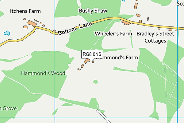 RG8 0NS map - OS VectorMap District (Ordnance Survey) RG8 0NS map - OS VectorMap District (Ordnance Survey)