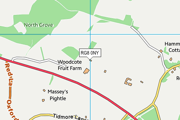 RG8 0NY map - OS VectorMap District (Ordnance Survey) RG8 0NY map - OS VectorMap District (Ordnance Survey)