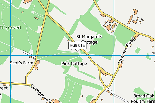 RG8 0TE map - OS VectorMap District (Ordnance Survey) RG8 0TE map - OS VectorMap District (Ordnance Survey)