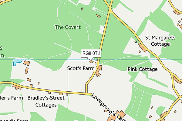 RG8 0TJ map - OS VectorMap District (Ordnance Survey) RG8 0TJ map - OS VectorMap District (Ordnance Survey)