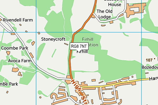 RG8 7NT map - OS VectorMap District (Ordnance Survey) RG8 7NT map - OS VectorMap District (Ordnance Survey)