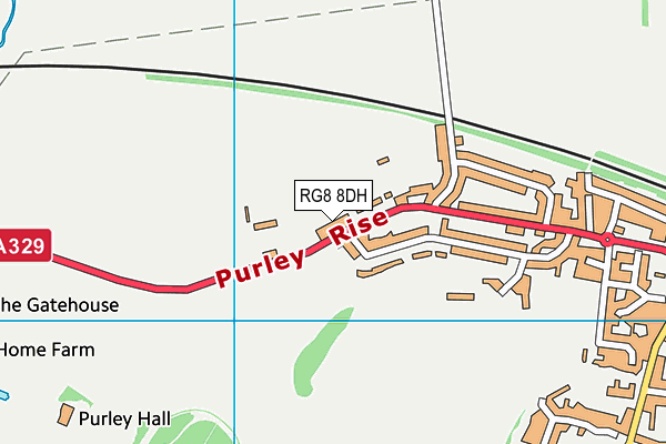 RG8 8DH map - OS VectorMap District (Ordnance Survey) RG8 8DH map - OS VectorMap District (Ordnance Survey)