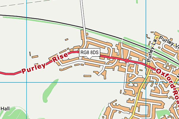 RG8 8DS map - OS VectorMap District (Ordnance Survey) RG8 8DS map - OS VectorMap District (Ordnance Survey)