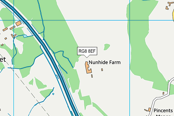 RG8 8EF map - OS VectorMap District (Ordnance Survey) RG8 8EF map - OS VectorMap District (Ordnance Survey)