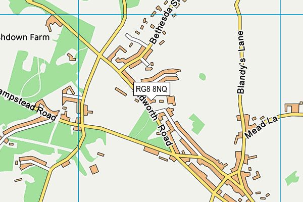 RG8 8NQ map - OS VectorMap District (Ordnance Survey) RG8 8NQ map - OS VectorMap District (Ordnance Survey)
