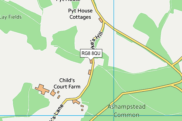 RG8 8QU map - OS VectorMap District (Ordnance Survey) RG8 8QU map - OS VectorMap District (Ordnance Survey)