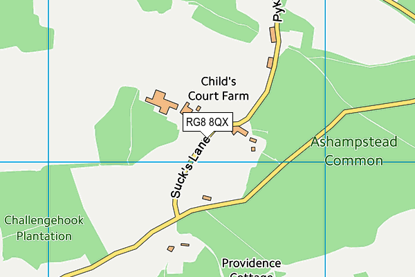 RG8 8QX map - OS VectorMap District (Ordnance Survey) RG8 8QX map - OS VectorMap District (Ordnance Survey)