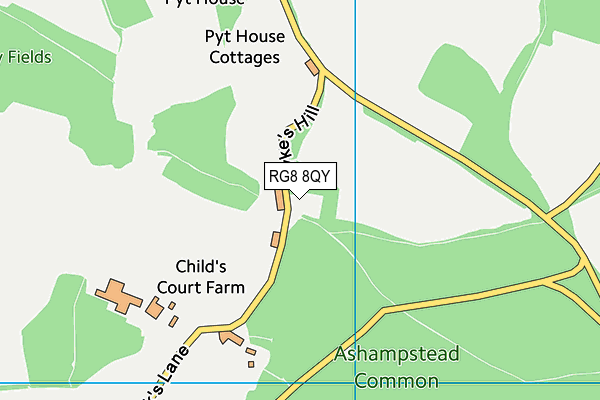 RG8 8QY map - OS VectorMap District (Ordnance Survey) RG8 8QY map - OS VectorMap District (Ordnance Survey)