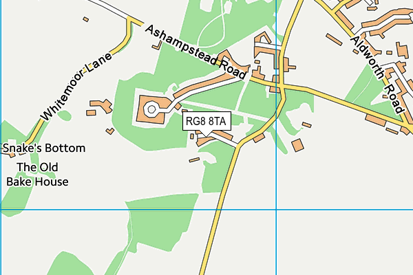 RG8 8TA map - OS VectorMap District (Ordnance Survey) RG8 8TA map - OS VectorMap District (Ordnance Survey)