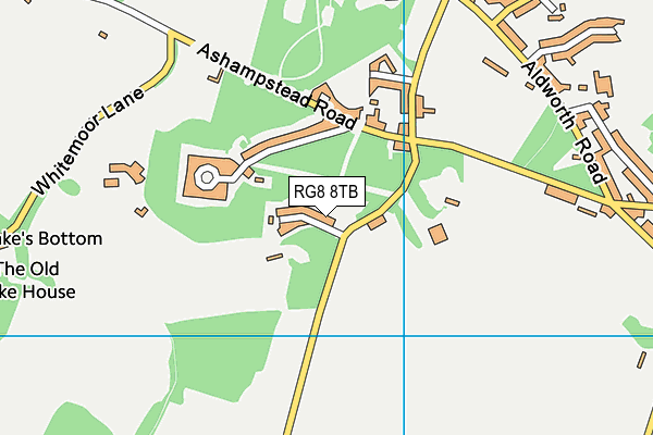 RG8 8TB map - OS VectorMap District (Ordnance Survey) RG8 8TB map - OS VectorMap District (Ordnance Survey)