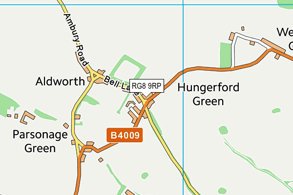RG8 9RP map - OS VectorMap District (Ordnance Survey) RG8 9RP map - OS VectorMap District (Ordnance Survey)