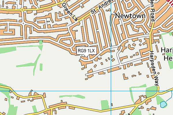 RG9 1LX map - OS VectorMap District (Ordnance Survey) RG9 1LX map - OS VectorMap District (Ordnance Survey)