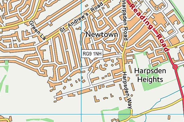 RG9 1NH map - OS VectorMap District (Ordnance Survey) RG9 1NH map - OS VectorMap District (Ordnance Survey)