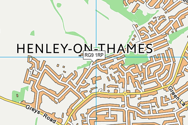 RG9 1RP map - OS VectorMap District (Ordnance Survey) RG9 1RP map - OS VectorMap District (Ordnance Survey)