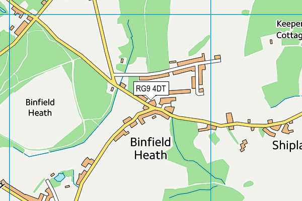 RG9 4DT map - OS VectorMap District (Ordnance Survey)