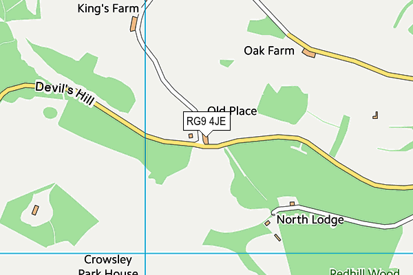 RG9 4JE map - OS VectorMap District (Ordnance Survey) RG9 4JE map - OS VectorMap District (Ordnance Survey)