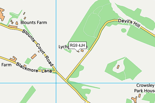 RG9 4JH map - OS VectorMap District (Ordnance Survey) RG9 4JH map - OS VectorMap District (Ordnance Survey)