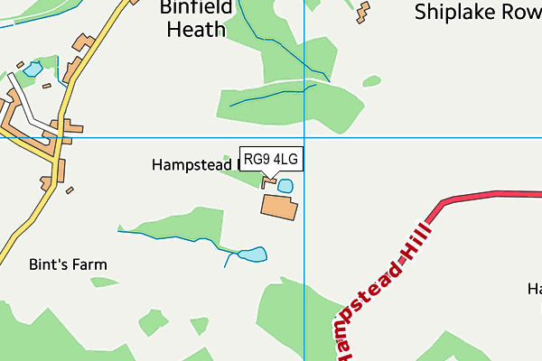 RG9 4LG map - OS VectorMap District (Ordnance Survey) RG9 4LG map - OS VectorMap District (Ordnance Survey)