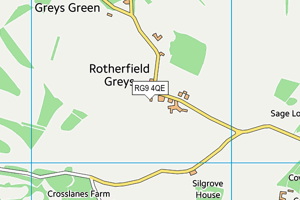 RG9 4QE map - OS VectorMap District (Ordnance Survey)