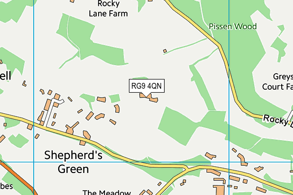 RG9 4QN map - OS VectorMap District (Ordnance Survey) RG9 4QN map - OS VectorMap District (Ordnance Survey)
