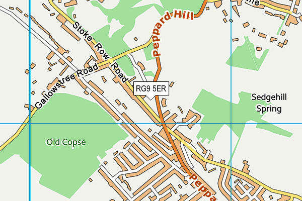 RG9 5ER map - OS VectorMap District (Ordnance Survey) RG9 5ER map - OS VectorMap District (Ordnance Survey)