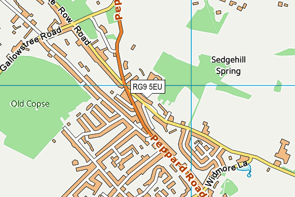 RG9 5EU map - OS VectorMap District (Ordnance Survey) RG9 5EU map - OS VectorMap District (Ordnance Survey)