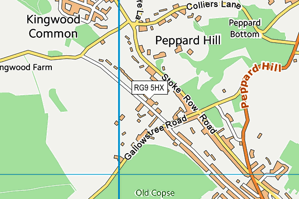 RG9 5HX map - OS VectorMap District (Ordnance Survey)