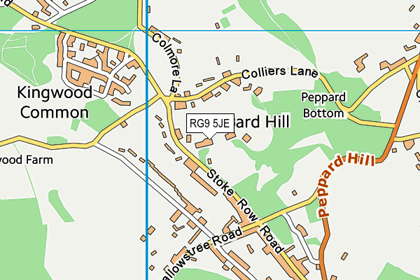 RG9 5JE map - OS VectorMap District (Ordnance Survey)