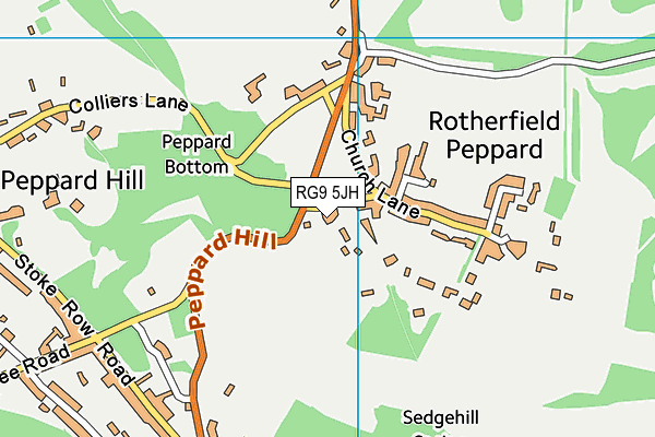 RG9 5JH map - OS VectorMap District (Ordnance Survey) RG9 5JH map - OS VectorMap District (Ordnance Survey)