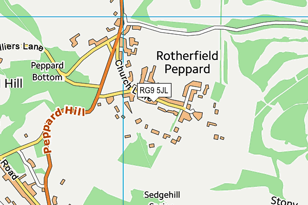 RG9 5JL map - OS VectorMap District (Ordnance Survey)