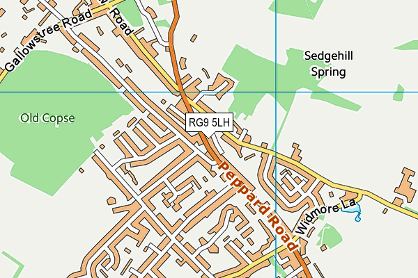 RG9 5LH map - OS VectorMap District (Ordnance Survey) RG9 5LH map - OS VectorMap District (Ordnance Survey)