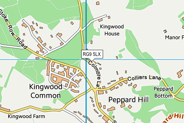 RG9 5LX map - OS VectorMap District (Ordnance Survey)