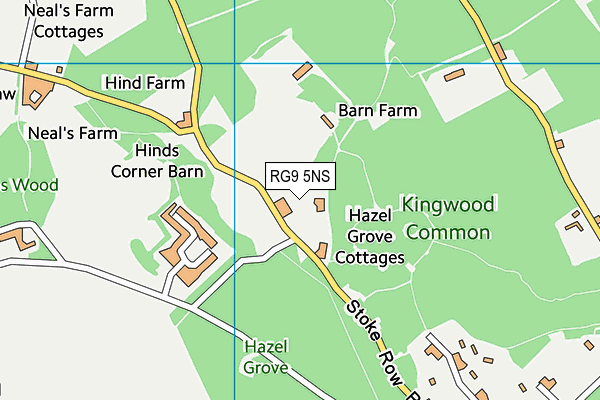 RG9 5NS map - OS VectorMap District (Ordnance Survey)