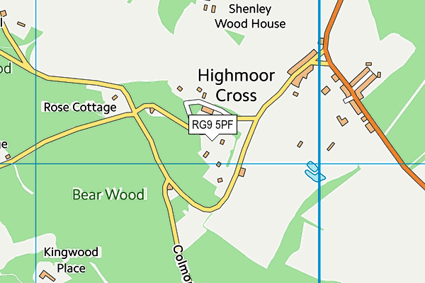 RG9 5PF map - OS VectorMap District (Ordnance Survey) RG9 5PF map - OS VectorMap District (Ordnance Survey)