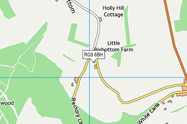 RG9 6BH map - OS VectorMap District (Ordnance Survey)