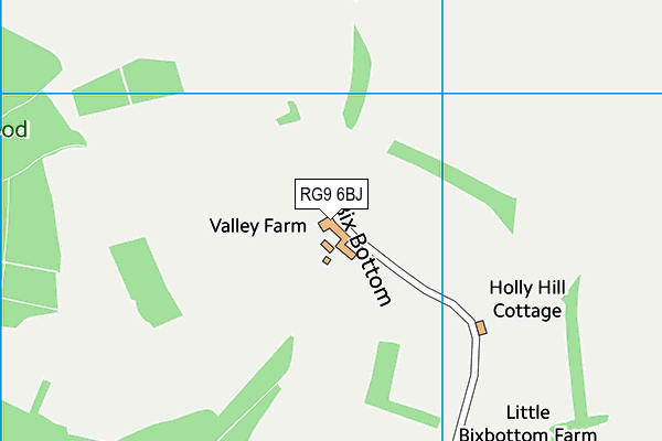 RG9 6BJ map - OS VectorMap District (Ordnance Survey) RG9 6BJ map - OS VectorMap District (Ordnance Survey)