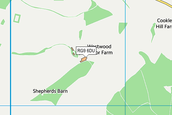 RG9 6DU map - OS VectorMap District (Ordnance Survey) RG9 6DU map - OS VectorMap District (Ordnance Survey)