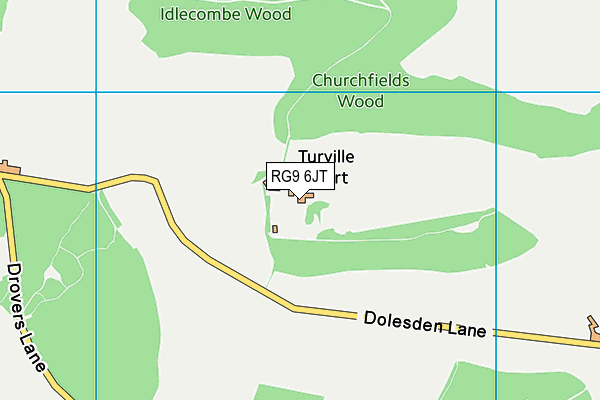 RG9 6JT map - OS VectorMap District (Ordnance Survey)