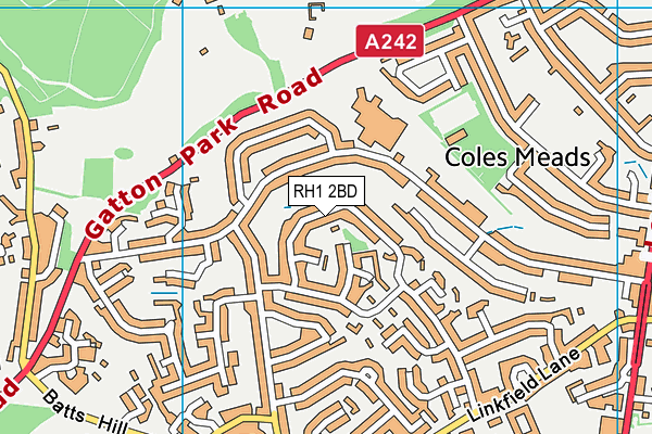 RH1 2BD map - OS VectorMap District (Ordnance Survey) RH1 2BD map - OS VectorMap District (Ordnance Survey)