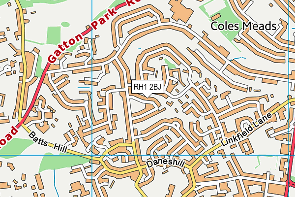 RH1 2BJ map - OS VectorMap District (Ordnance Survey) RH1 2BJ map - OS VectorMap District (Ordnance Survey)