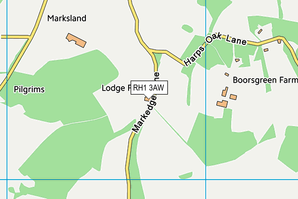 RH1 3AW map - OS VectorMap District (Ordnance Survey) RH1 3AW map - OS VectorMap District (Ordnance Survey)
