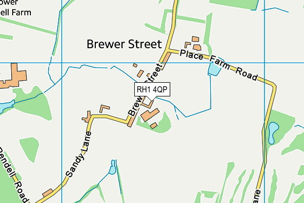 RH1 4QP map - OS VectorMap District (Ordnance Survey) RH1 4QP map - OS VectorMap District (Ordnance Survey)