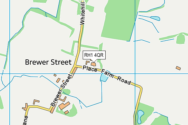 RH1 4QR map - OS VectorMap District (Ordnance Survey) RH1 4QR map - OS VectorMap District (Ordnance Survey)