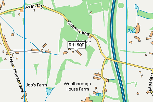 RH1 5QP map - OS VectorMap District (Ordnance Survey) RH1 5QP map - OS VectorMap District (Ordnance Survey)