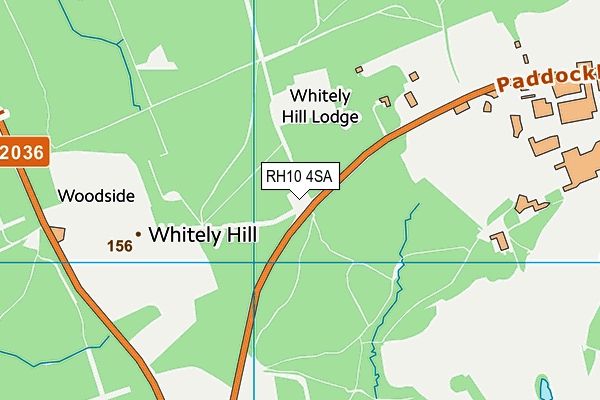 RH10 4SA map - OS VectorMap District (Ordnance Survey) RH10 4SA map - OS VectorMap District (Ordnance Survey)
