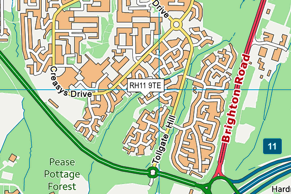 RH11 9TE map - OS VectorMap District (Ordnance Survey) RH11 9TE map - OS VectorMap District (Ordnance Survey)