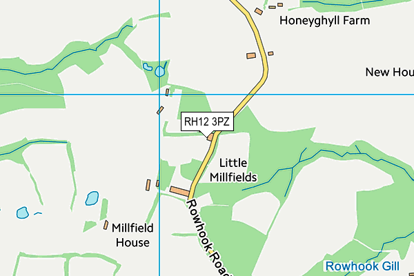 RH12 3PZ map - OS VectorMap District (Ordnance Survey) RH12 3PZ map - OS VectorMap District (Ordnance Survey)