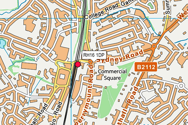 RH16 1DP map - OS VectorMap District (Ordnance Survey) RH16 1DP map - OS VectorMap District (Ordnance Survey)